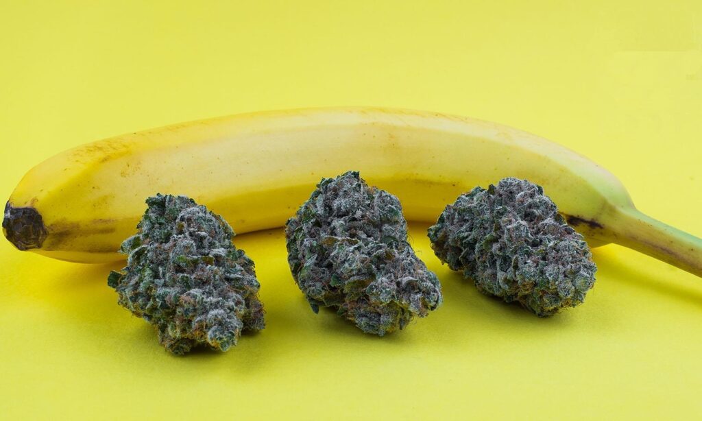 banana flavored gum